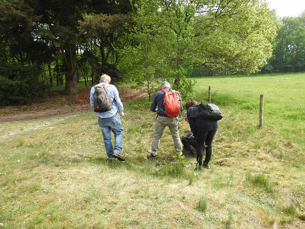 KNNV excursie Arrien [00909] 13-mei-2018 (Vechtdal, Arrien).jpg - KNNV excursie Arrien